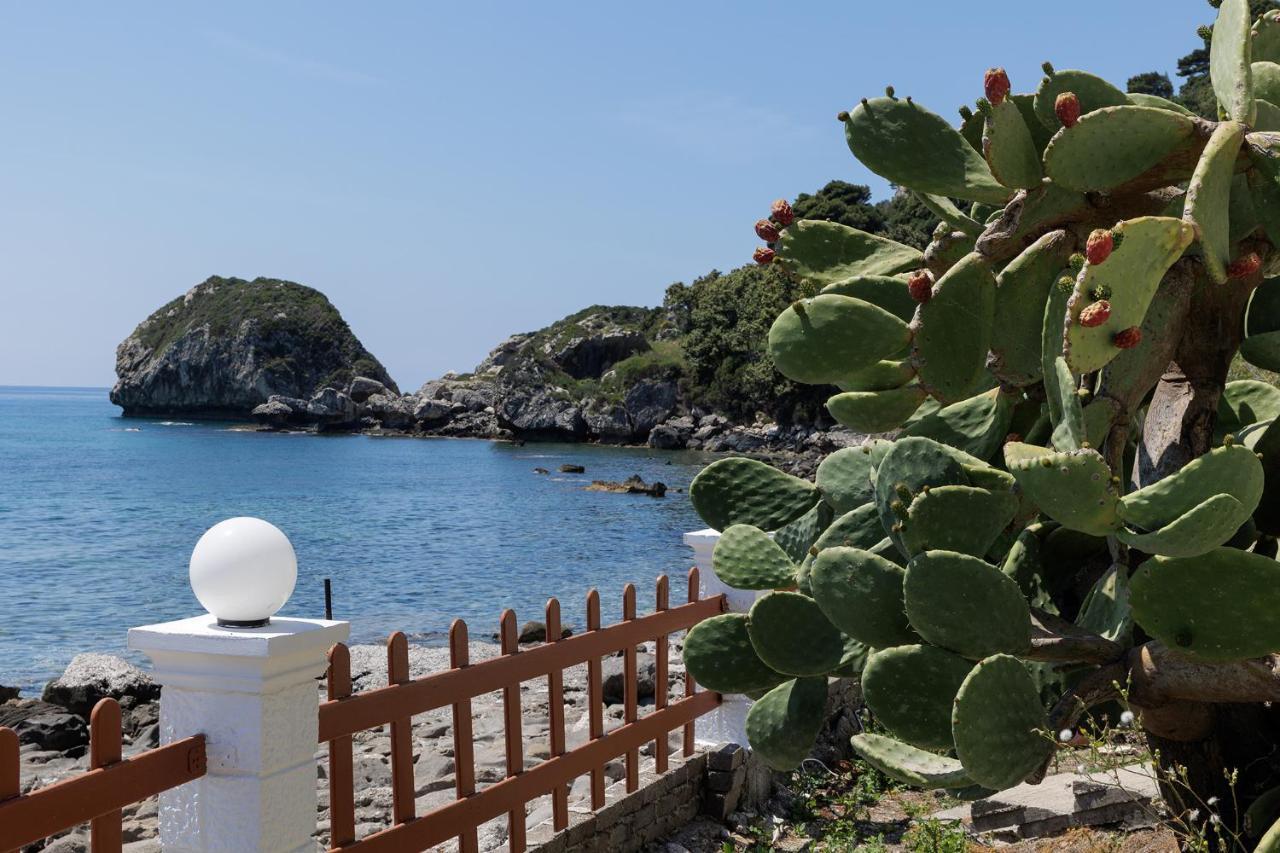 Renata & Filippos With Private Plunge Pool By Konnect Agios Gordios (Corfu)